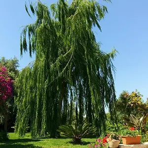 Bed & Breakfast La Casa Dei Sogni, Syracuse